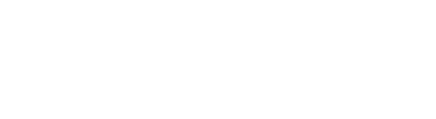 The Denza wordmark